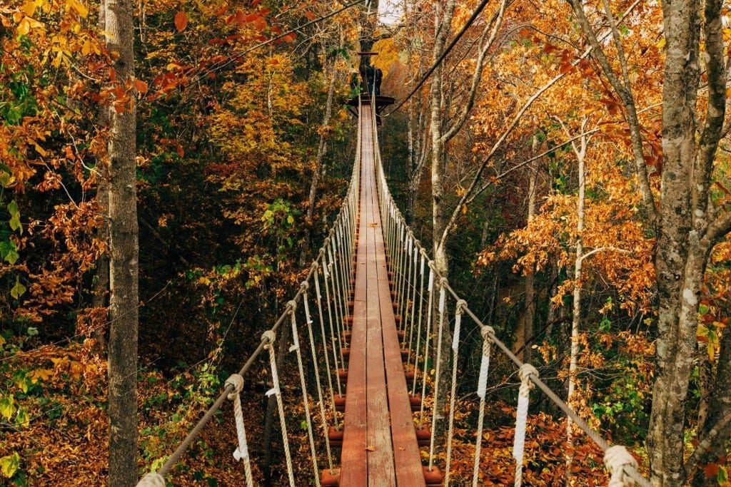 9 Interesting Facts About Ziplining In The Smoky Mountains At CLIMB Works   Fallestbridge 1024x683 