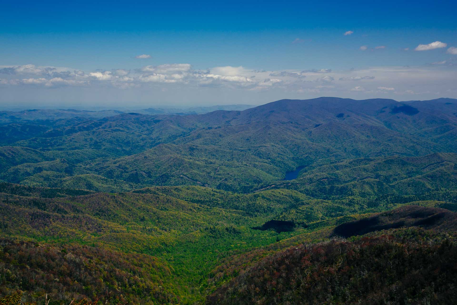 spring-in-the-smoky-mountains
