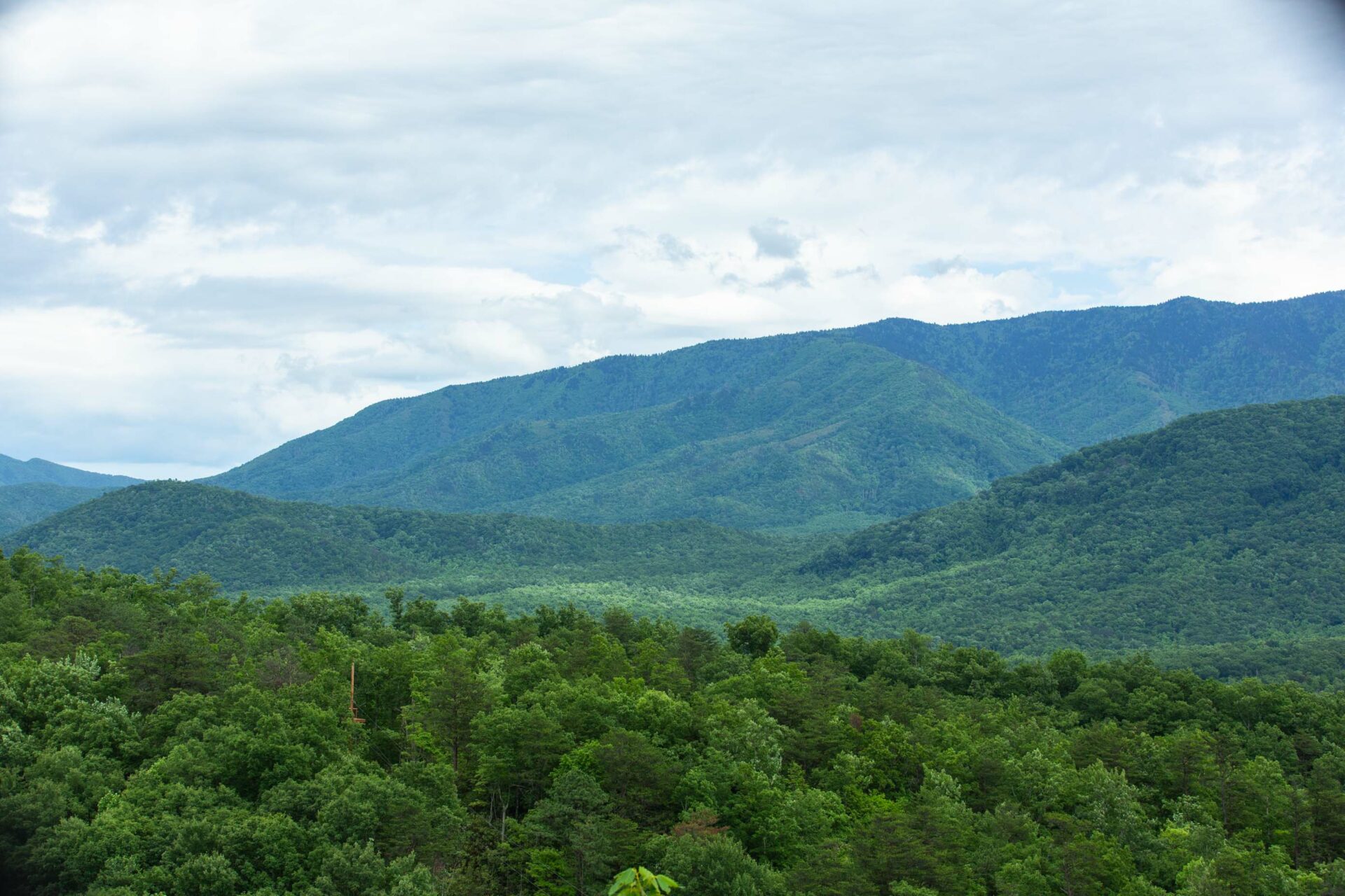 24 Hours In Gatlinburg