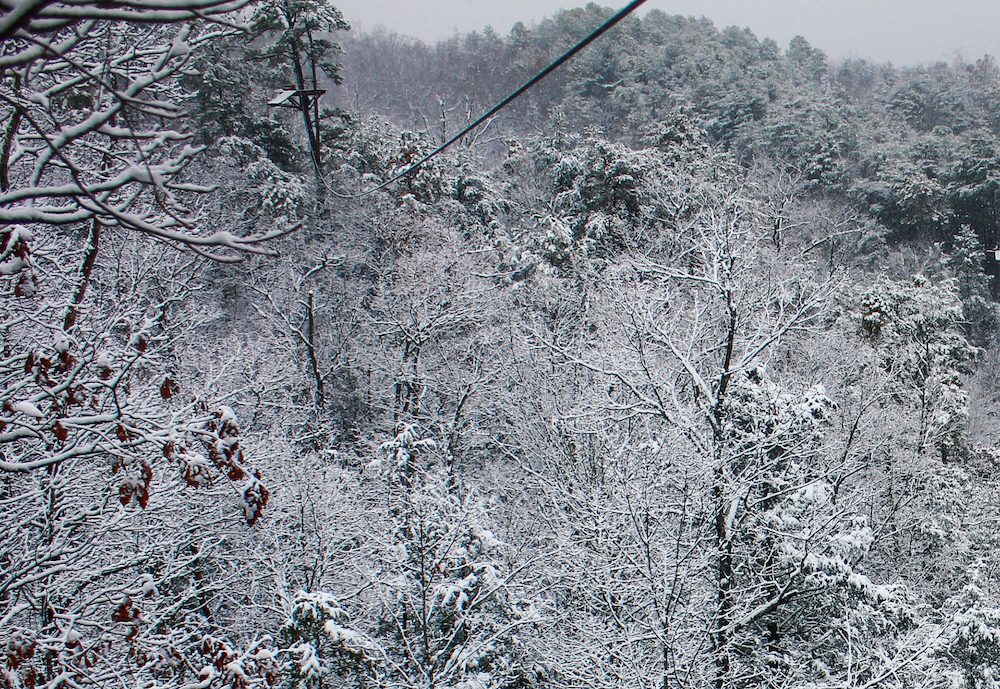 Smoky Mountains in the winter