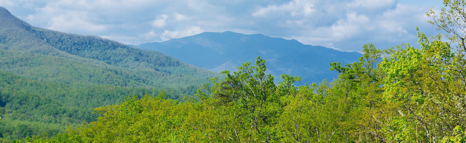 5 of the Best Spring Hikes in the Smoky Mountains