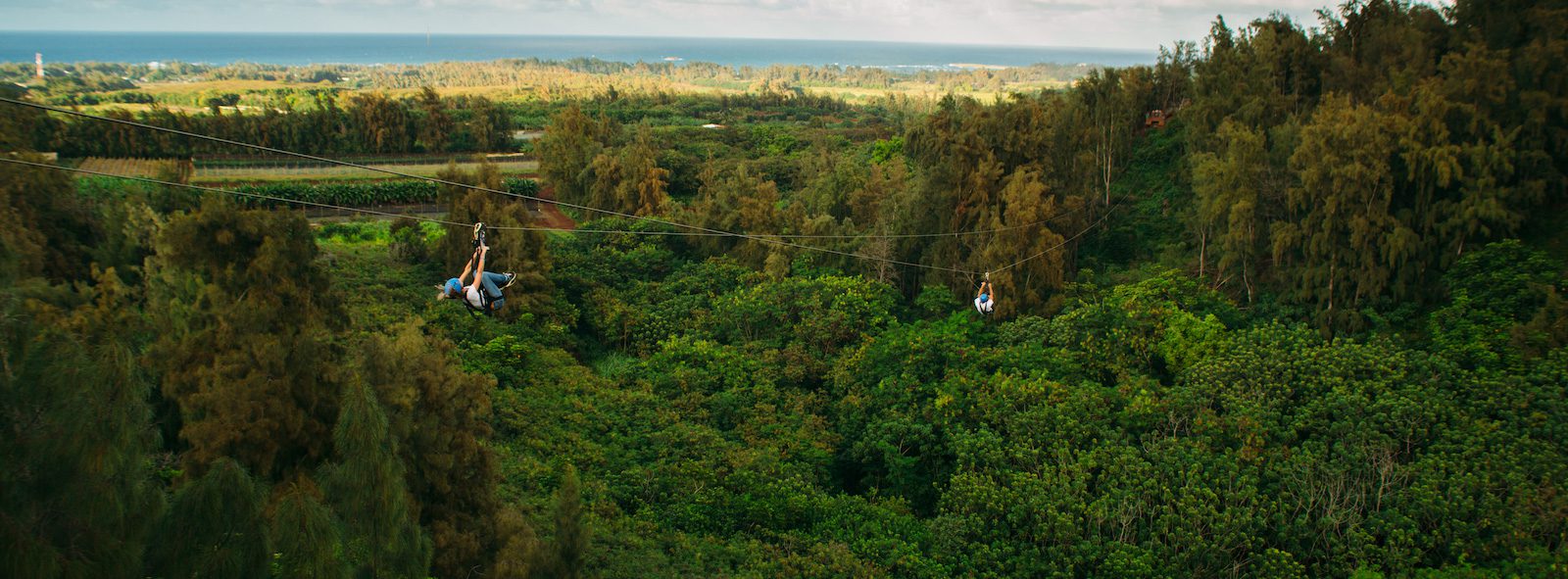 4 Things You’ll Gain from Our Oahu Zipline Tour