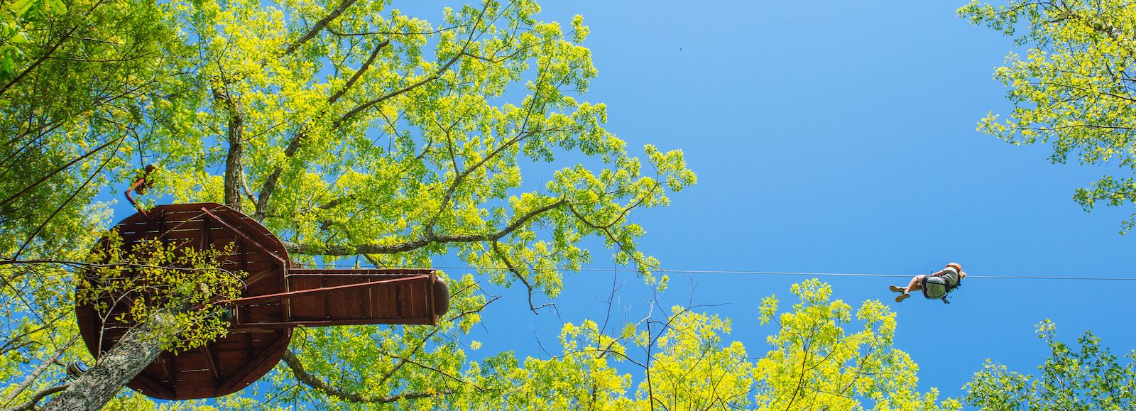All About One of The Best Ziplines in Gatlinburg: Treetop Zipline Tour