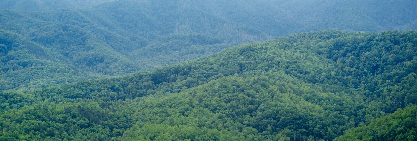 Top 4 Reasons Why Our Ziplines Offer the Best Views in the Smoky Mountains