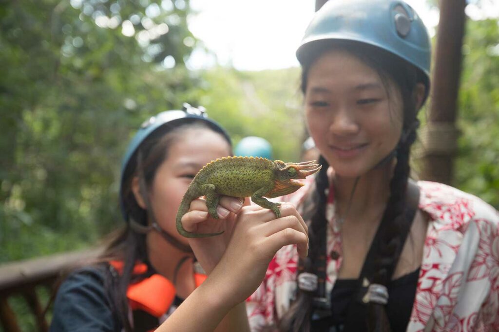 A wild Jackson Chameleon being held by two children on their zipline tour
