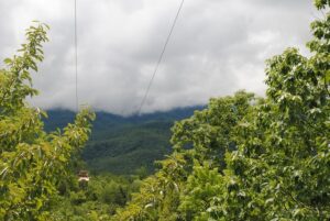 This image is by CLIMB Works.