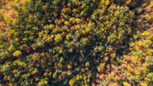 Aerial shot of trees in the Smoky Mountains during October