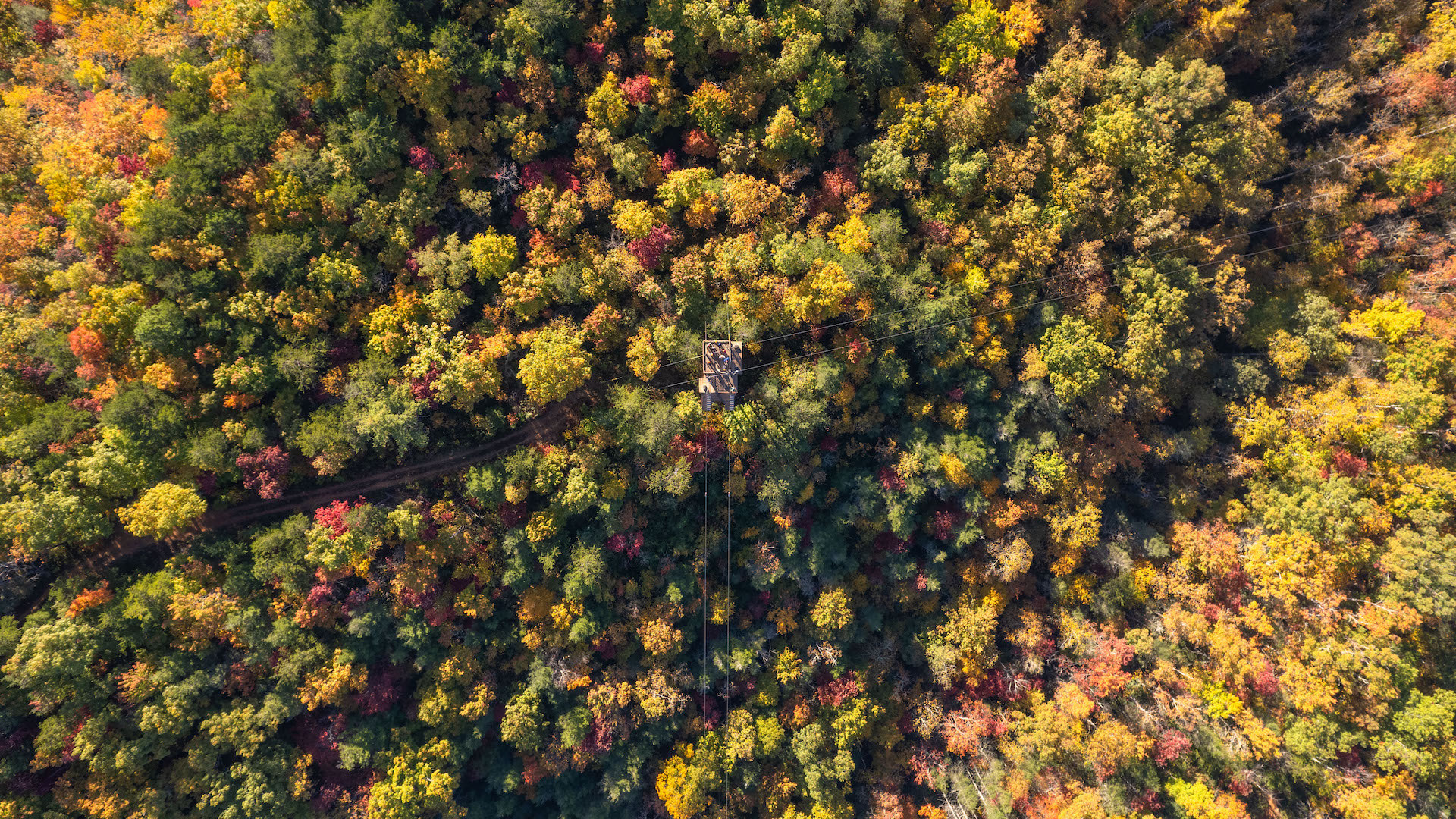 Aerial shot of trees in the Smoky Mountains during October