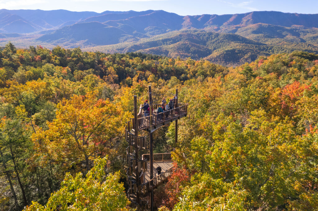 Smoky Mountains in the fall with a CLIMB Works zipline platform in the trees.