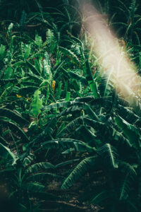 This image is by CLIMB Works.