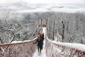 This image is by CLIMB Works.