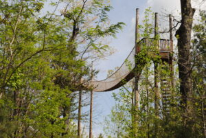 This image is by CLIMB Works.