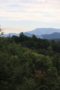 This image is by CLIMB Works.