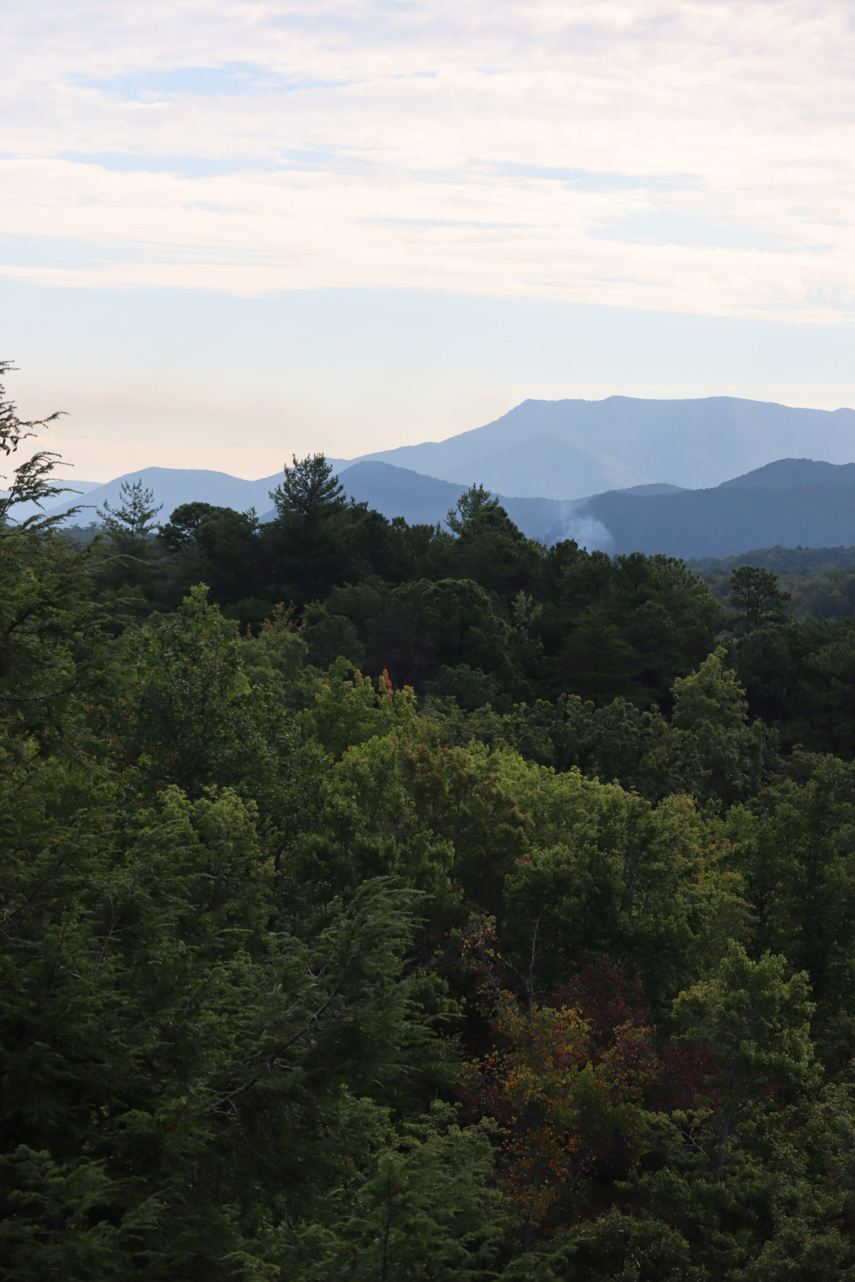 This image is by CLIMB Works.