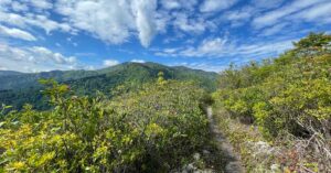 This image is by CLIMB Works.